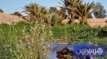 توقعات طقس اليوم السبت بالمغرب